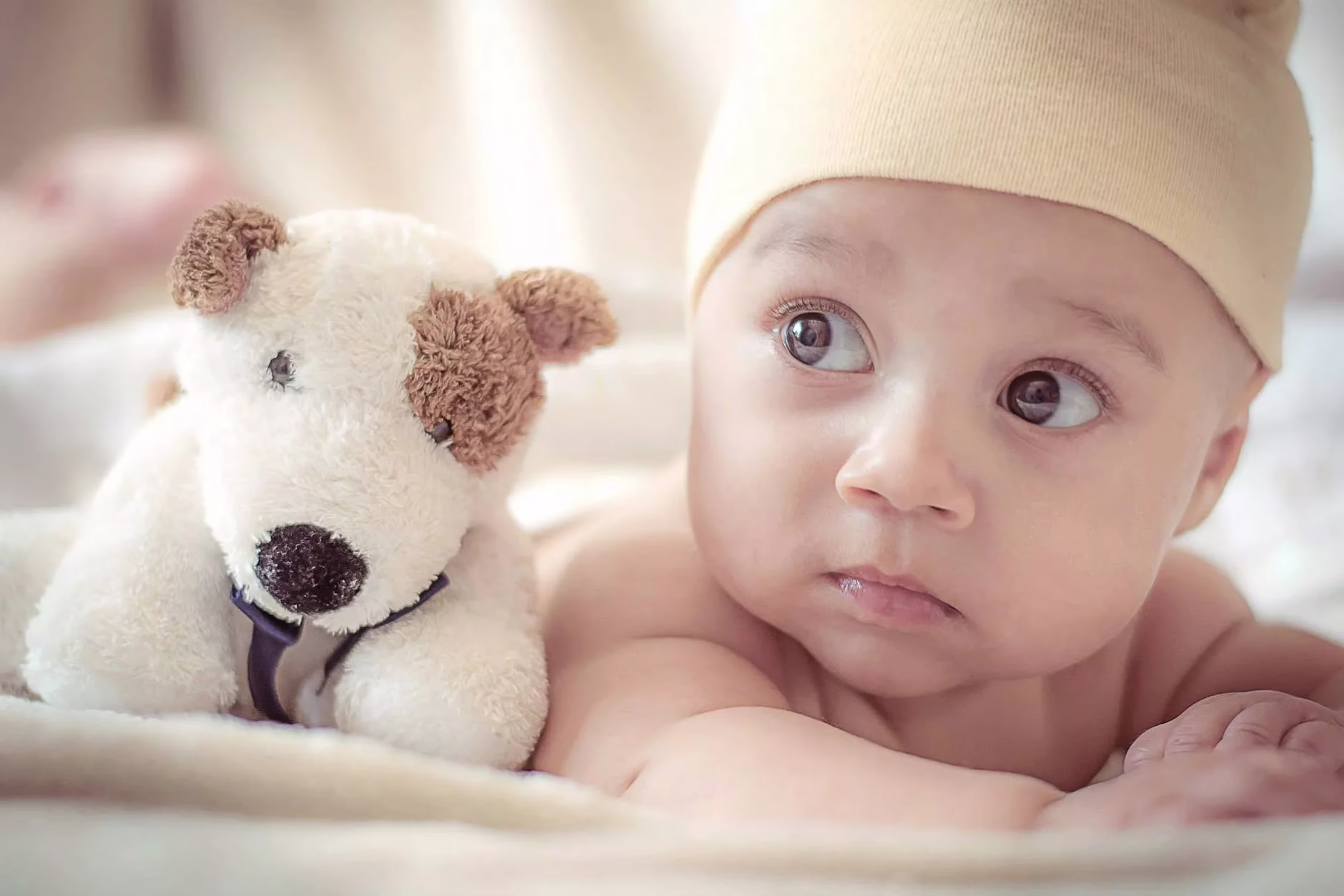 Newborn Clothing Guide: Fabric, Size, and Seasonal Tips baby lying near dog plush toy