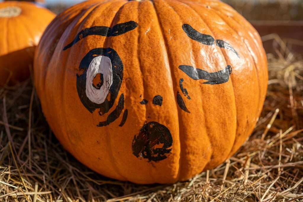 a carved pumpkin with a face